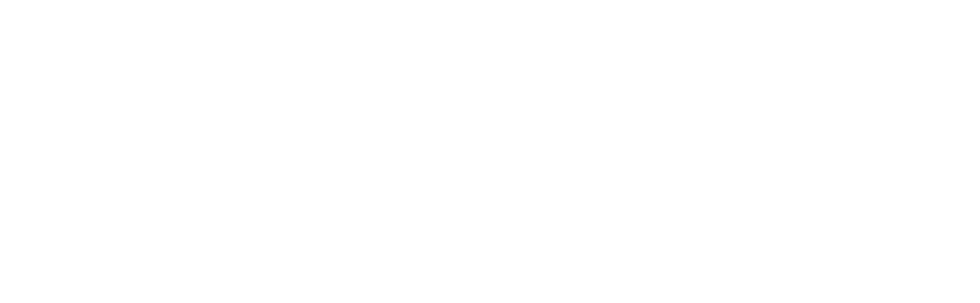 Fitlink — Conecta, entrena, crece